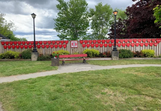 ‘Thank you is not enough.’ Firefighters honoured in Shelburne County
