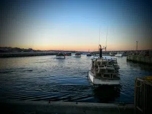 Liberals call for increased enforcement on illegal fishing
