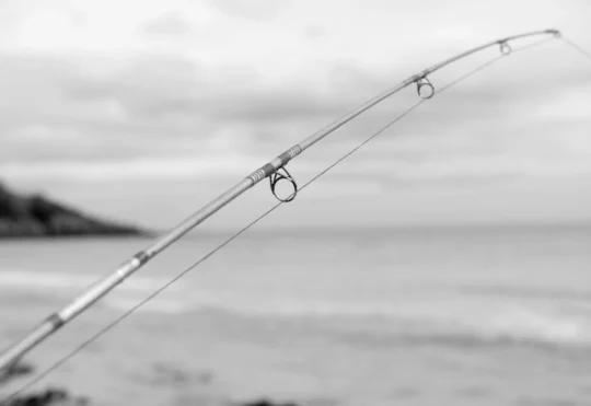 700 tonnes of fishing gear found after Hurricane Fiona
