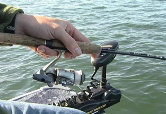 Border fishing issue draws interest from Natural Resources minister