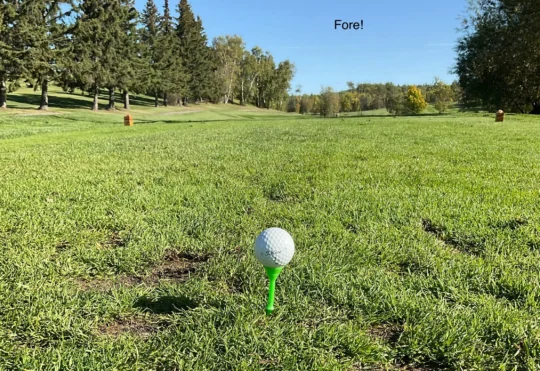 Beauty Bay Golf Course, Senior Men’s League, May 20