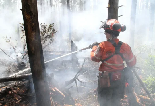 Forest fire smoke impacting air quality in Thunder Bay, Dryden, Atikokan areas