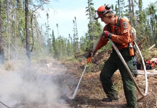 Nova Scotia wildfire season begins with dry conditions increasing risk