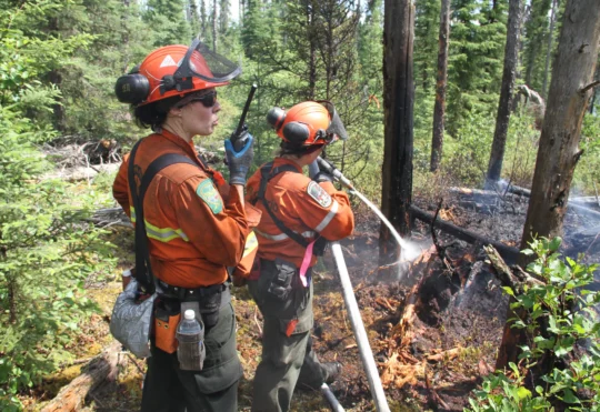 Restricted Fire Zones lifted across northwestern Ontario