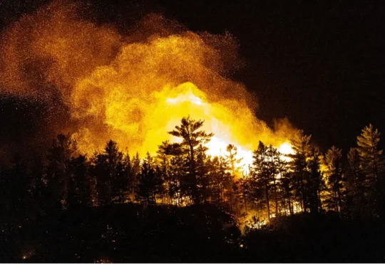 Wildfire risk below average in N.B., officials say uncertainty remains for this season
