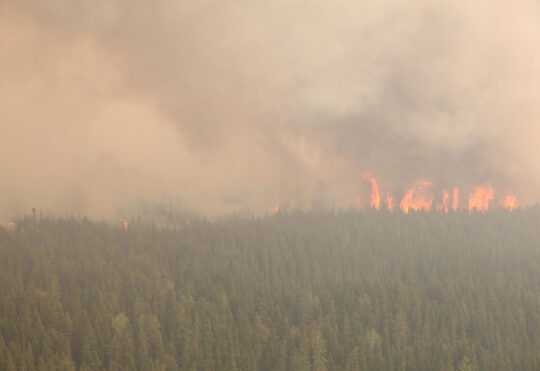 2023 Forest fire season higher than average