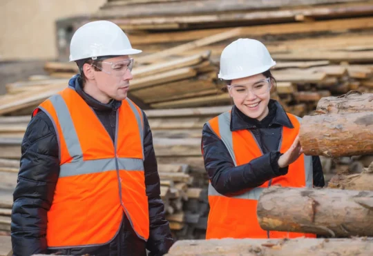 Forest industry seeks equal attention in U.S. trade talks