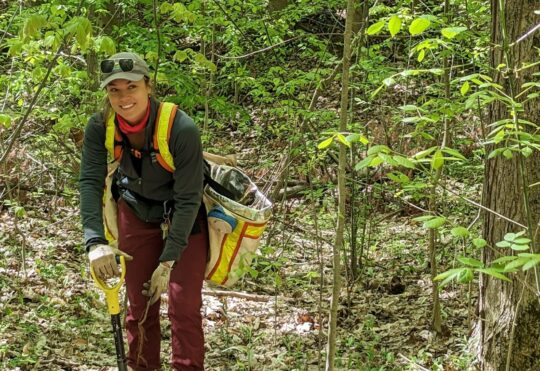Tree planting initiatives reaches 40 million mark