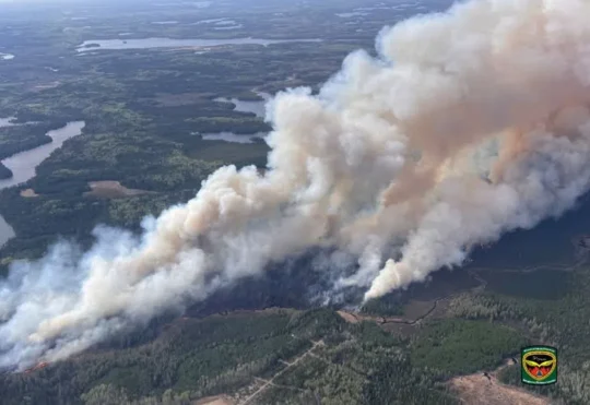 Low forest fire hazard for most of the region