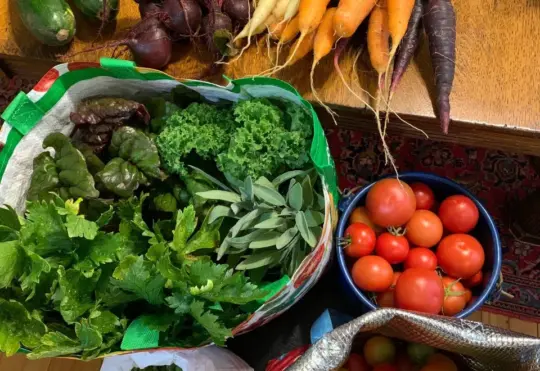 Applications for food program quadruples