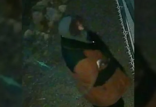 Six RVs burned in suspected arson, RCMP seek public’s help