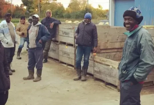 Jamaican workers heading from N.S. farm to devastation after Melissa
