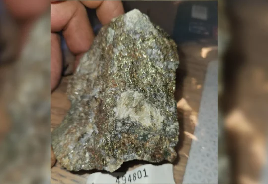 More high-grade gold found near Nestor Falls