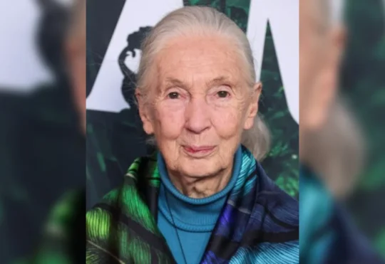 Conservationist Dr. Jane Goodall dies at 91