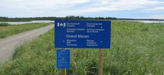 Restoration project on Grand Manan to begin this week