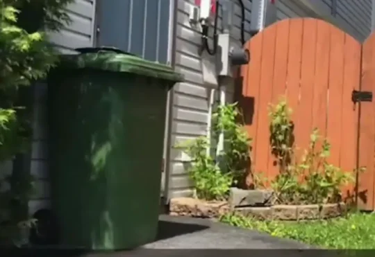 Weekly green cart collection about to end in HRM