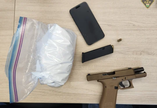Toronto resident charged in Thunder Bay