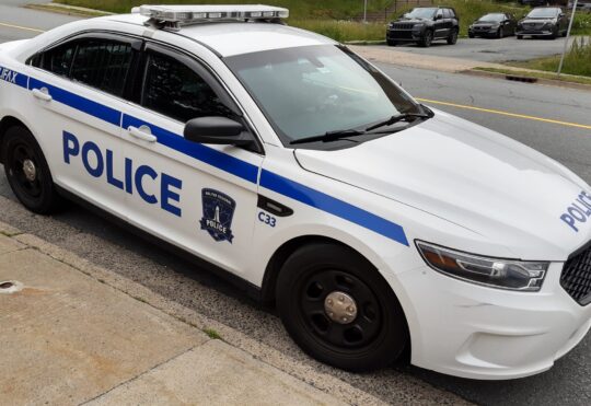 Woman hurt after hit by Halifax Transit bus in marked crosswalk