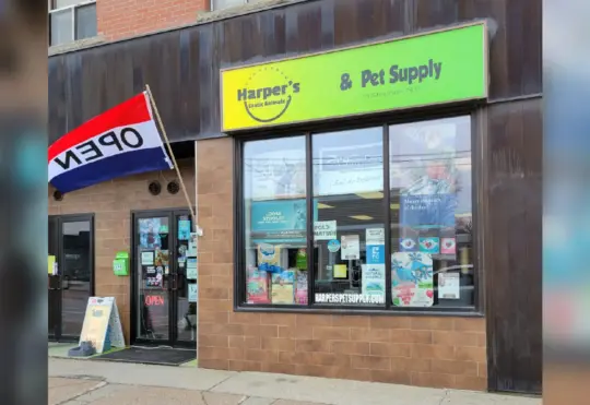 ‘We’re really scared:’ N.B. pet store forced to close