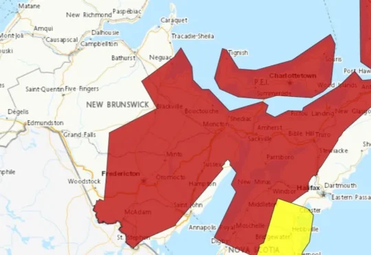 Heat warnings issued for parts of N.B.