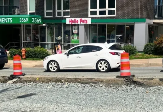 Halifax pet store watches sales dive from Dutch Village Rd overhaul
