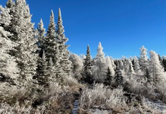 December a lot warmer and drier than usual