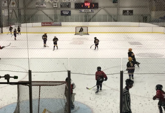 Ice to be available at arena this summer