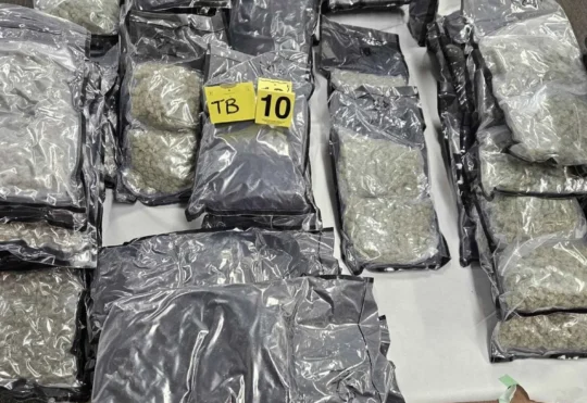 Dryden OPP find drug in stolen truck