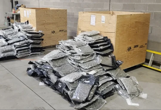 OPP interrupt illegal cannabis distribution network