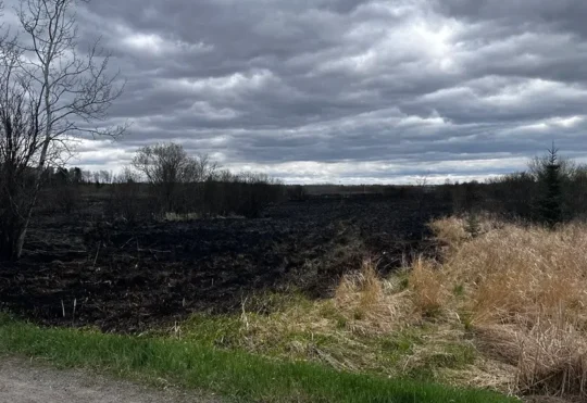 No buildings damaged in brush fires south of Thunder Bay Airport