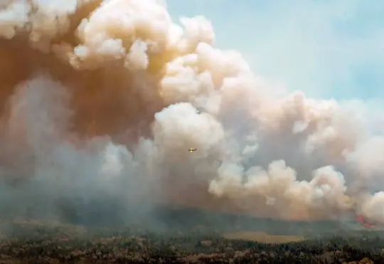Charges laid in Barrington Lake wildfire