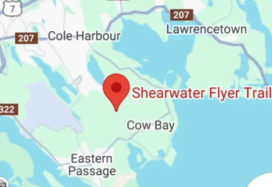 Unconfirmed reports of a bear attack near Halifax area trail