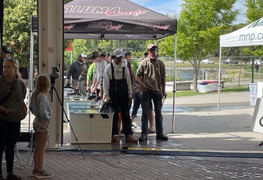 Bachynski and Beernaert lead KBI