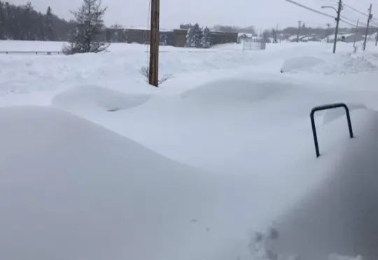 Premier urges patience on snow cleanup, schools cancelled in eastern N.S.