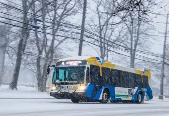 Halifax pulling buses off roads