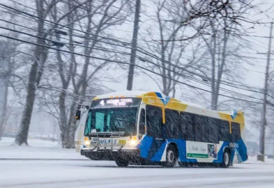 Jacket-stealing youth arrested after Westphal bus robberies