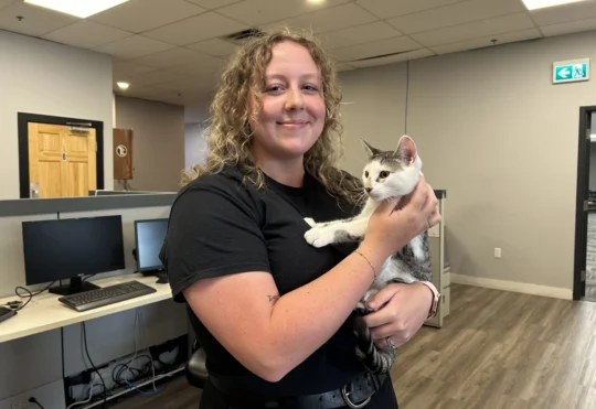 More than 70 cats rescued from property, says Bide Awhile shelter