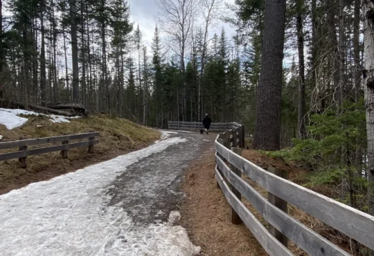 Trail closures at Mill Creek Nature Park