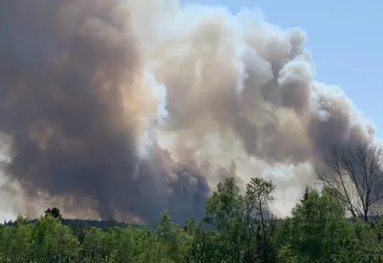 Below-average forest fire season in N.B.