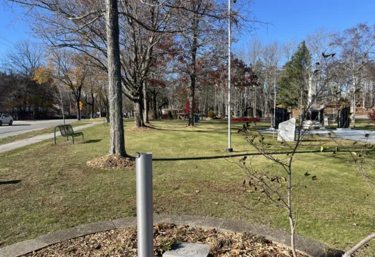 Light pole at Veterans Memorial Park ripped down