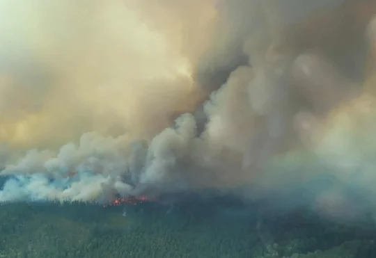Protecting yourself from wildfire smoke