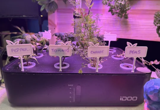 N.S. school garden program expands with more funding