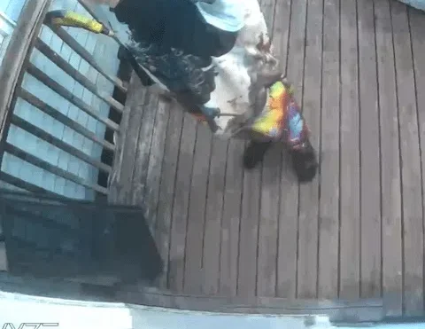 Sackville RCMP looking for suspect in weapon assault