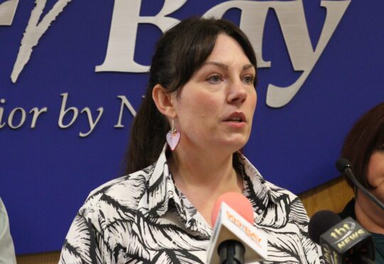 City talks guns, gangs and pathology with province