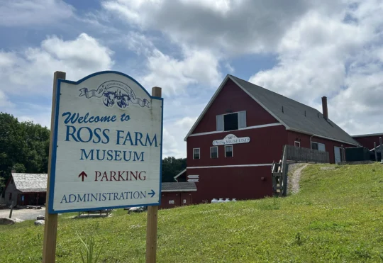 New head of Ross Farm says change is here, defends past treatment of horses