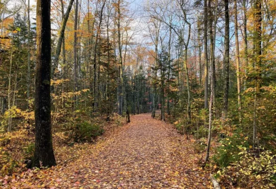 Spillway Trail at Irishtown Park closed