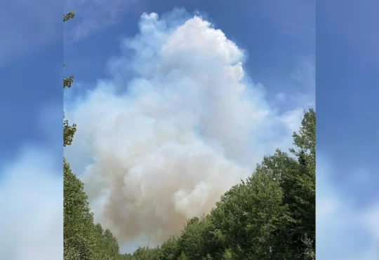 Help offered to Moncton area residents affected by forest fires