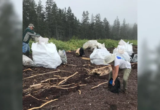 Volunteers wanted to beautify Pendleton Island