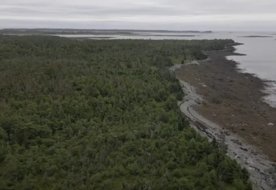 New nature preserve officially opens on Ross Island