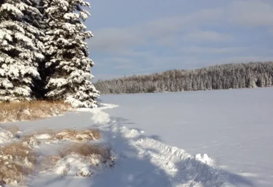 February colder and snowier than normal